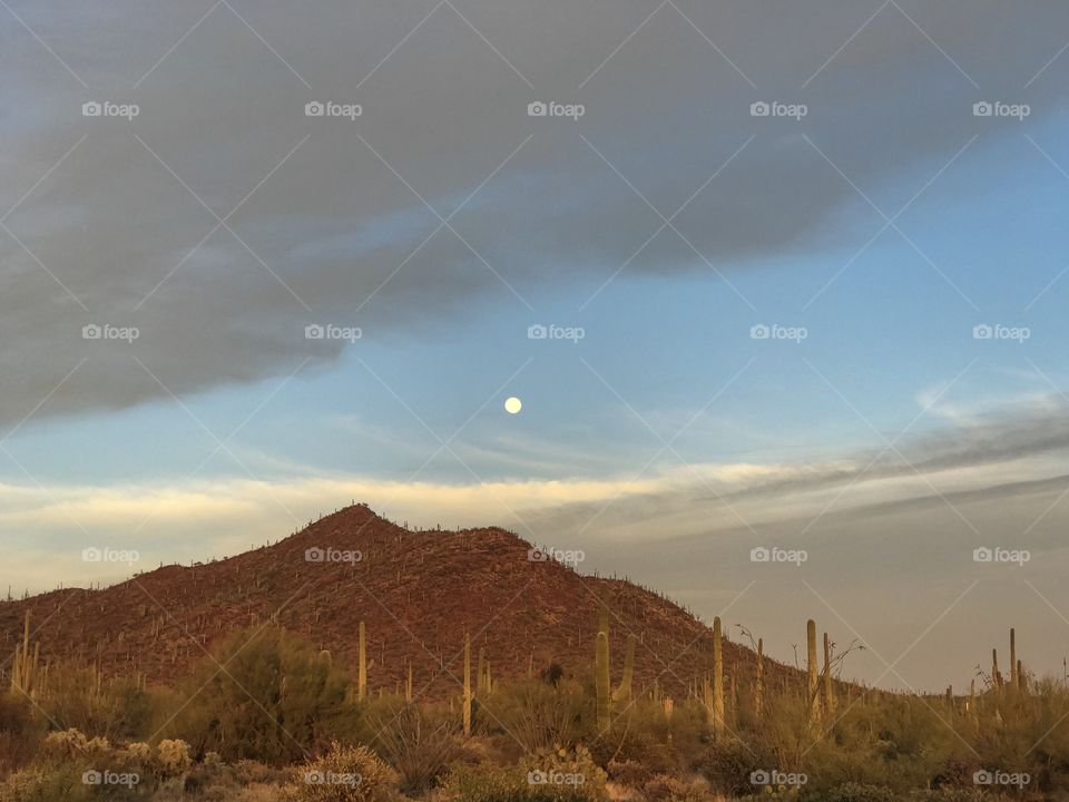 Nature - Desert Landscape 