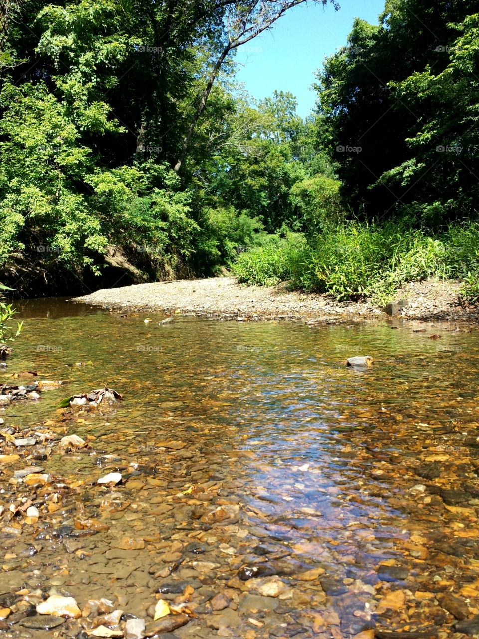 creek walk