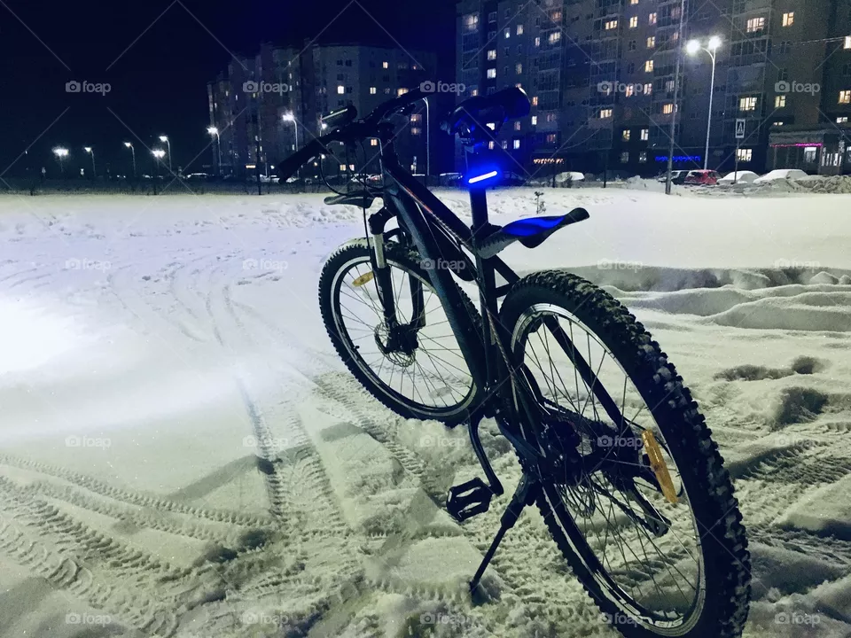 Winter 