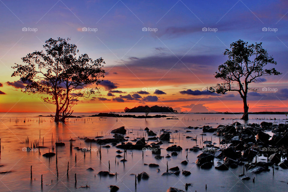 Two trees under sunset at Batakan Beach, South Kalimantan, Indonesia.