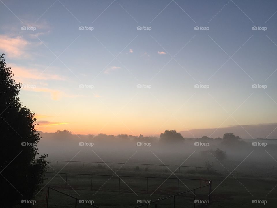 View of field in Foggy morning, Oklahoma, USA