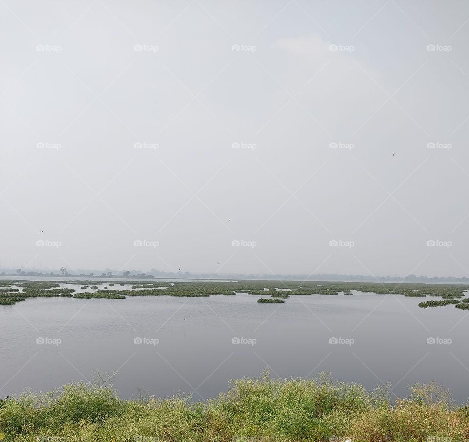 🌱🌱🌱🌱🌱🌱🌱