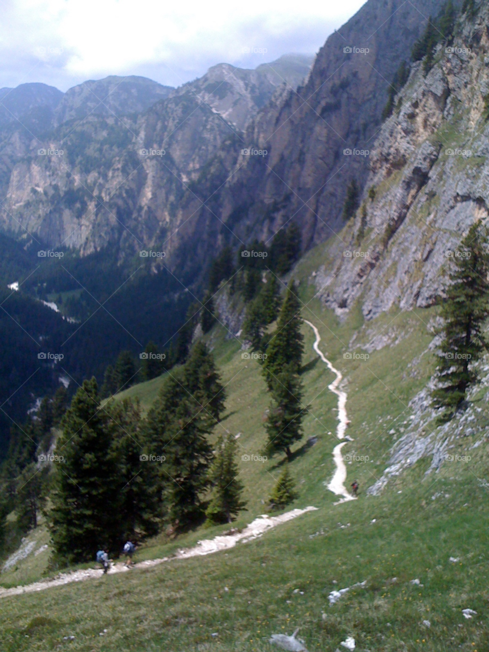 people tree path rocks by shotmaker