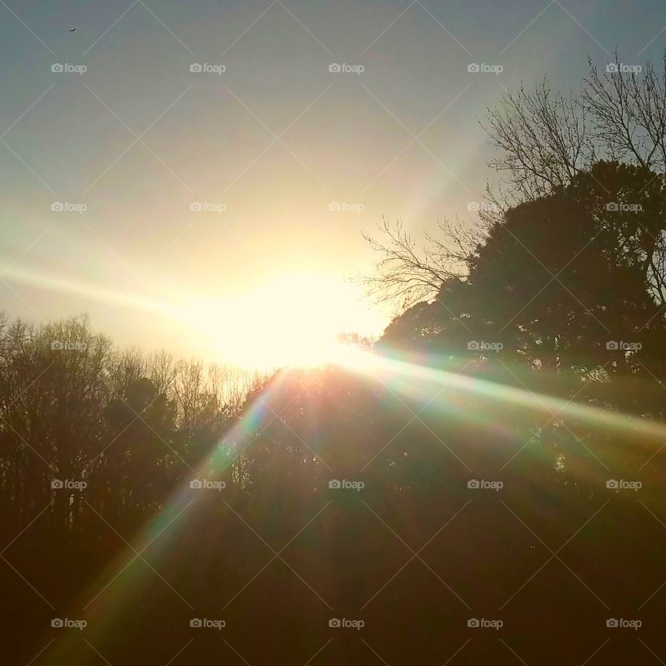 shine bright like a diamond