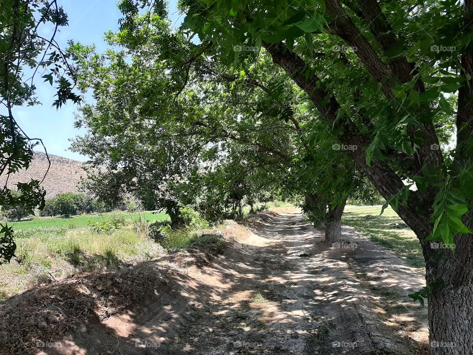 taking a relaxing time in nature