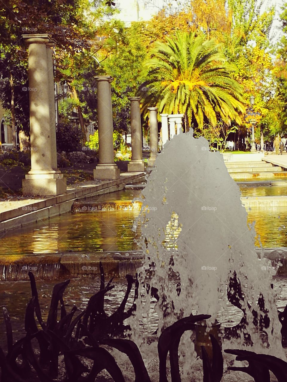 Sunlight reflected in lake