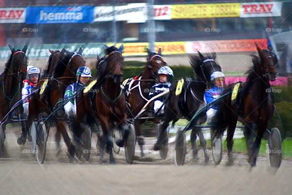 stockholm solvalla at the races racehorses racecourse racetrack lgt41 by lgt41