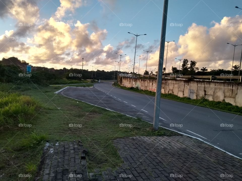 Natureza nos arredores da Arena Pernambuco