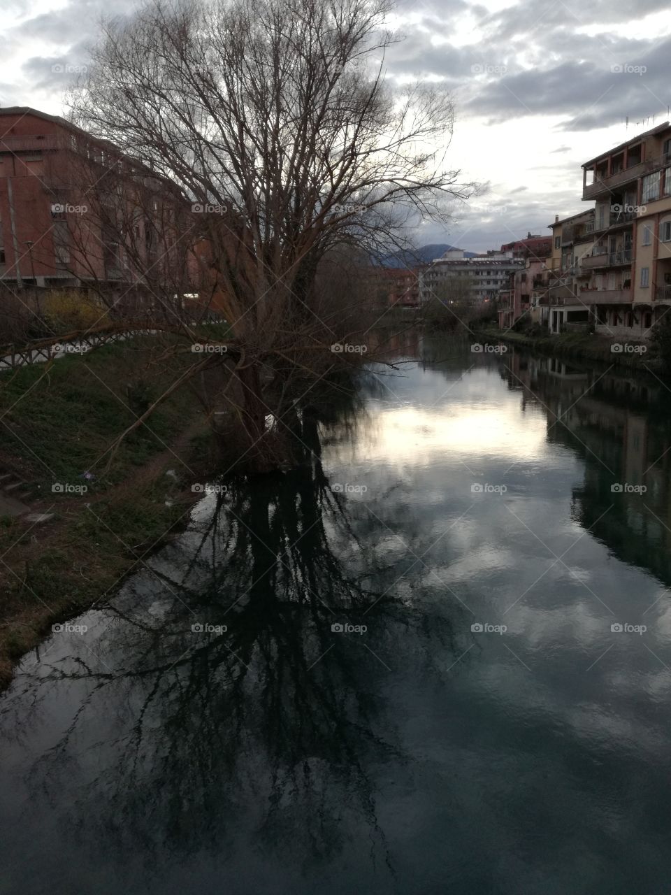 Tree shadow on the water