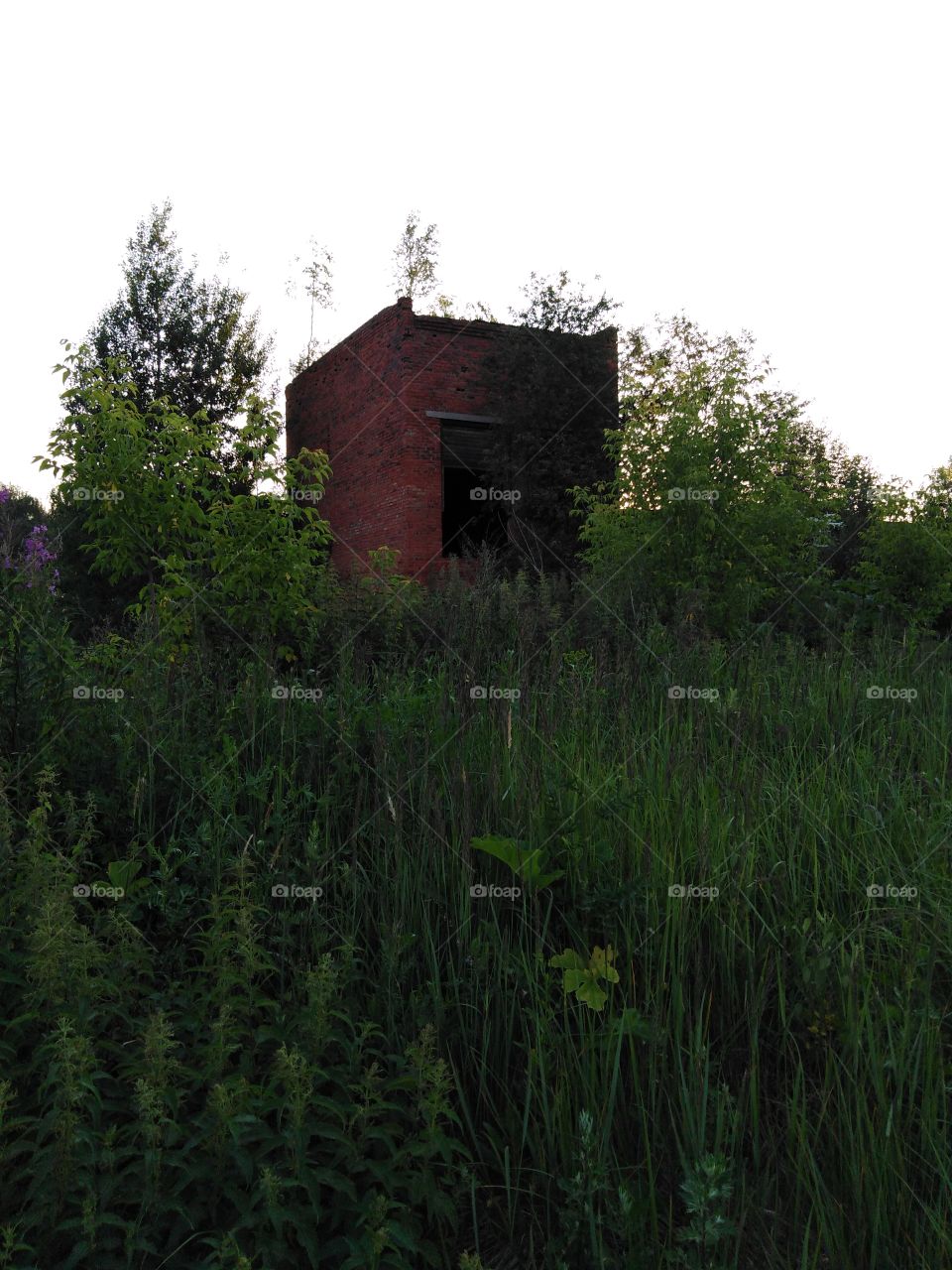 Заброшенное построение