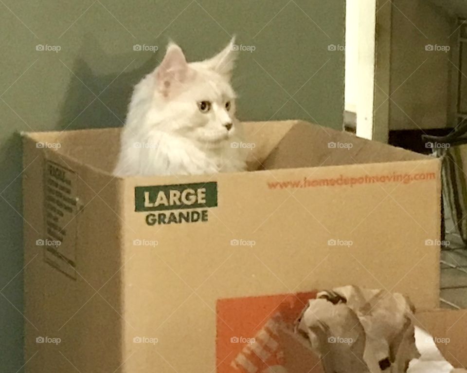 Where did everyone go ????