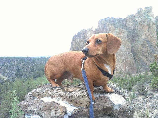 On The Rocks. Elliott was exploring Smith Rocks with us in Bend, OR.
