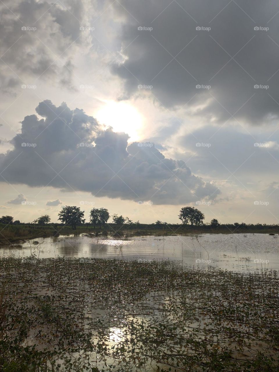 sun and clouds over rice fields at Prey Veng Kandal Province Cambodia