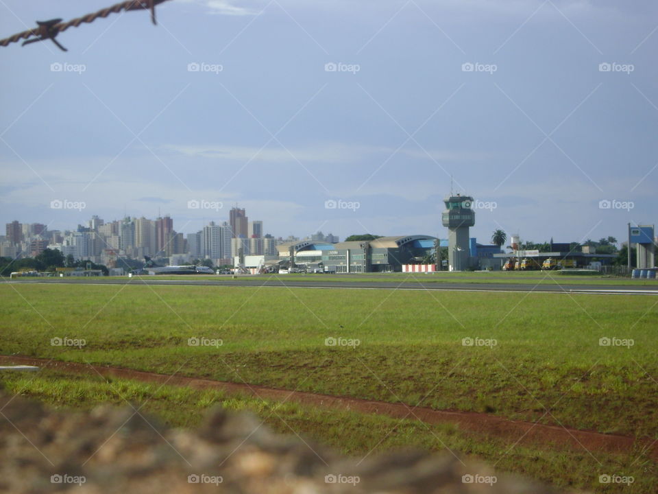 Scenic view of a nature