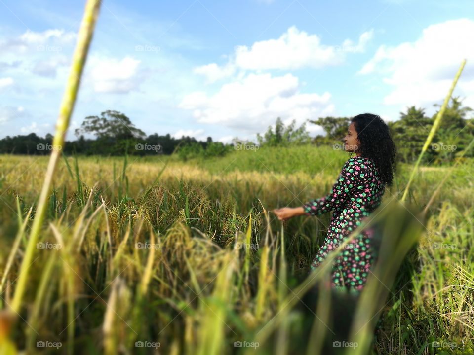 Beautiful view of village