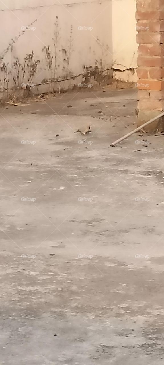 my body my soul no one is going to have a good time for ever.