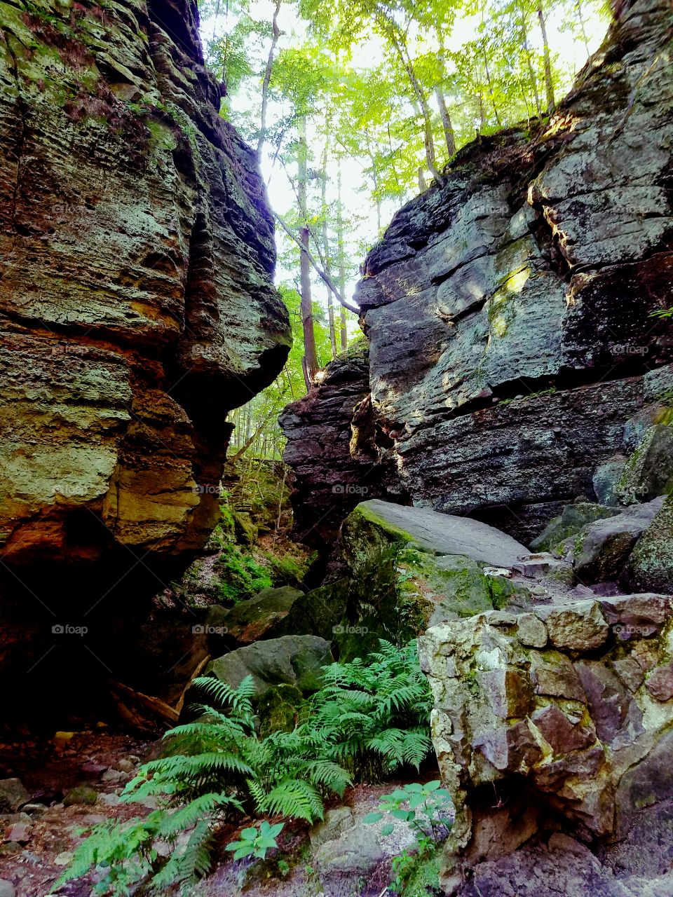 Beautiful view of nature