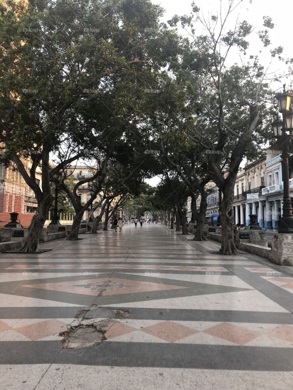 Walk, Cuba 2018