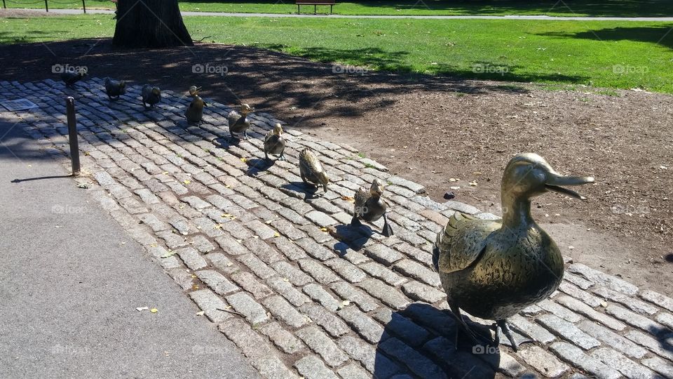 Make Way for Ducklings