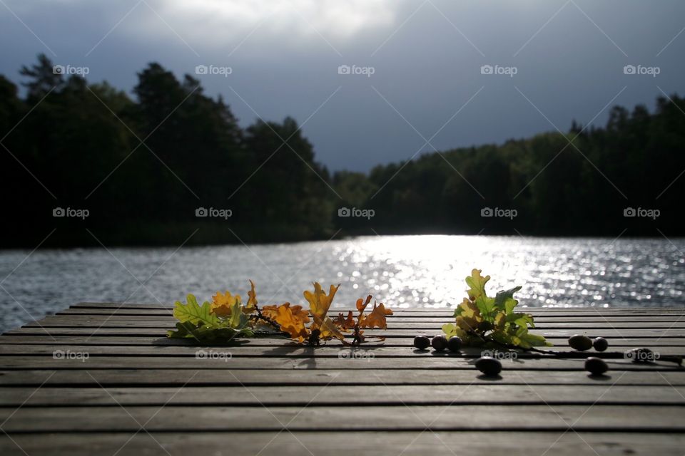 Leaf on the dock