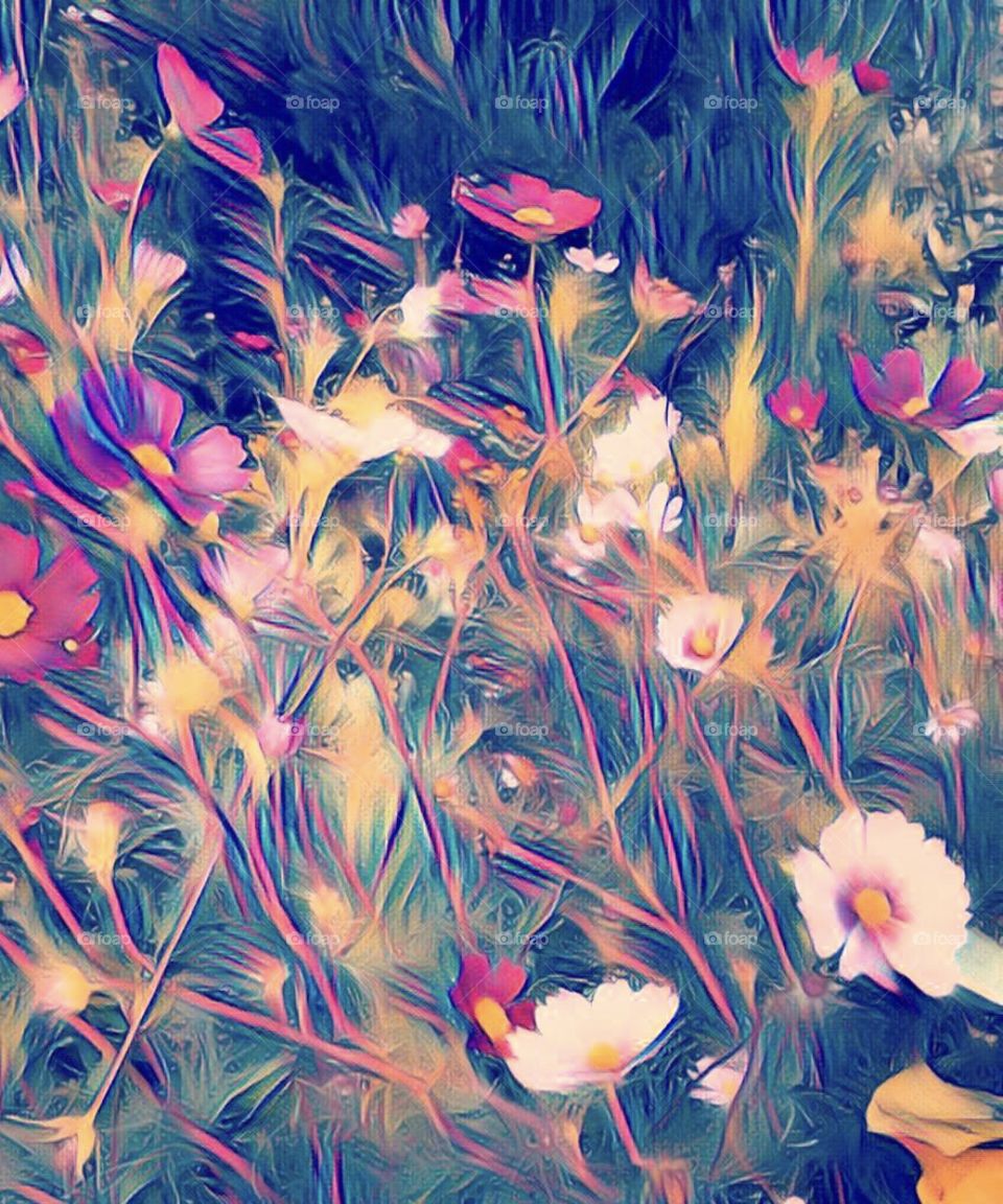 Beautiful abstract field of wildflowers 