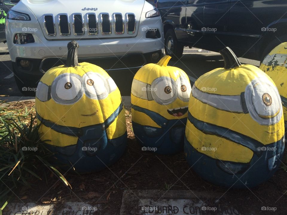 Minion Pumpkins 