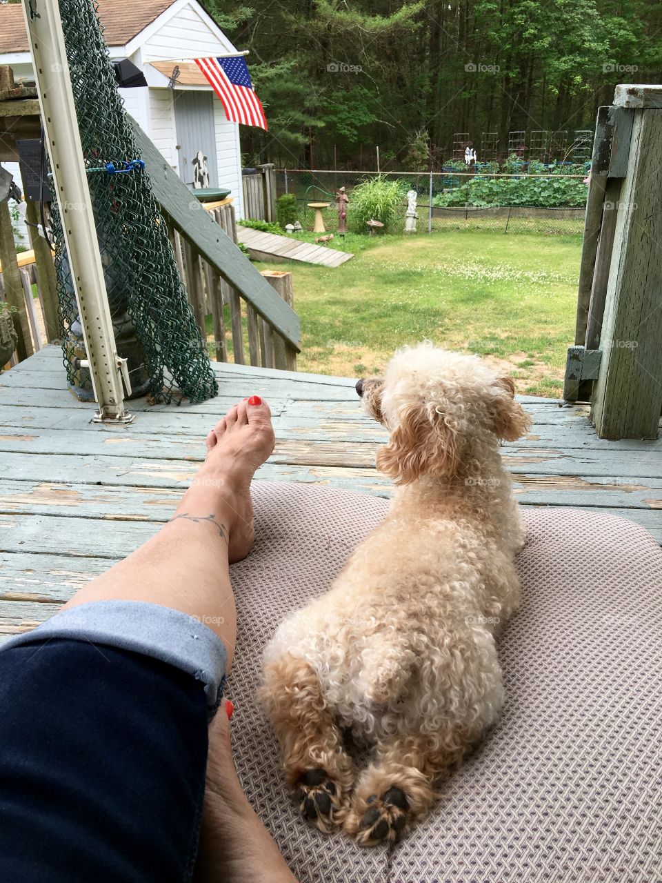 View from my back porch recliner, summer!