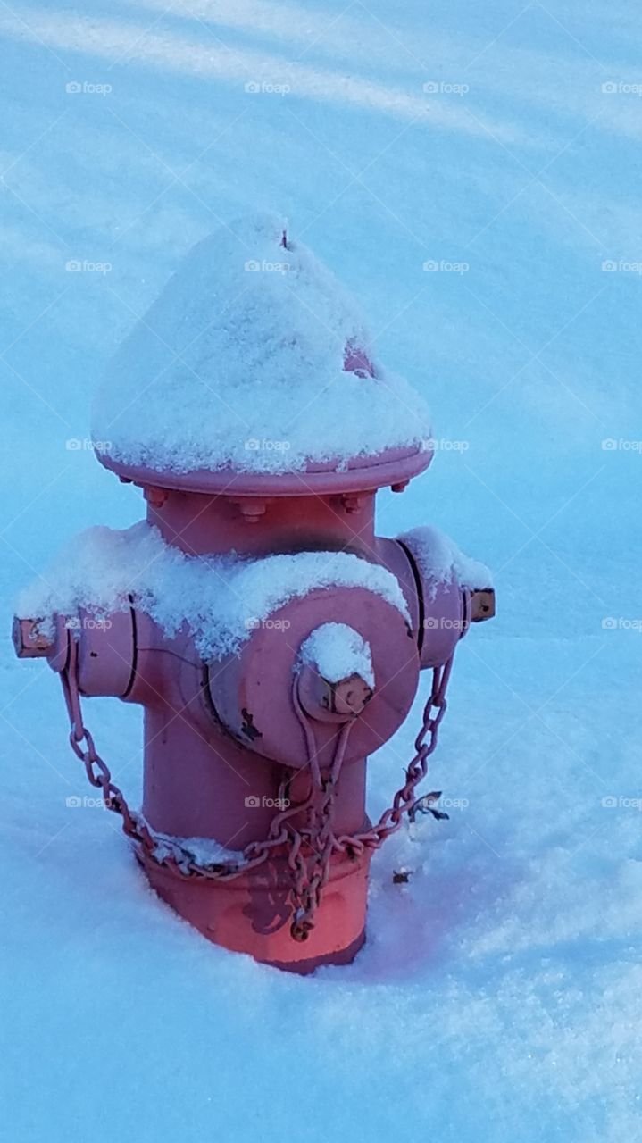 fire hydrant in the snow