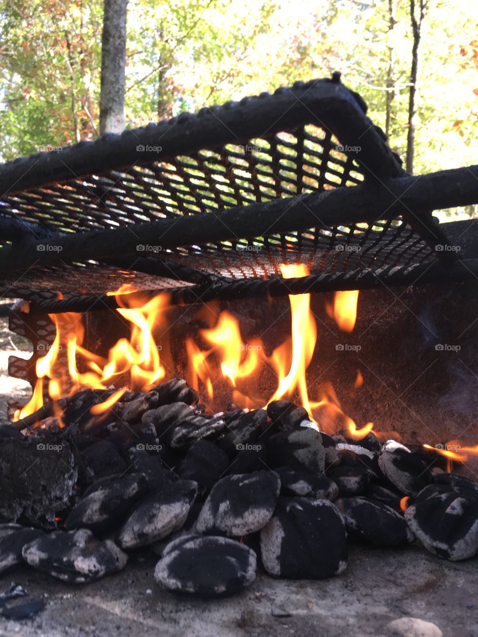 Camp charcoal fire