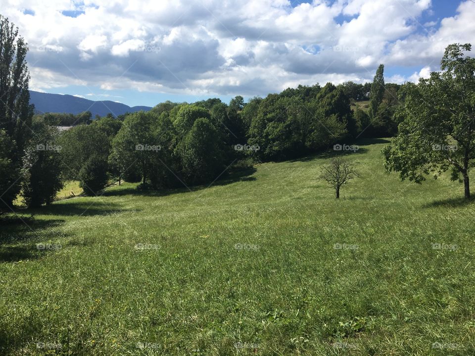 End summer meadows in Savoy