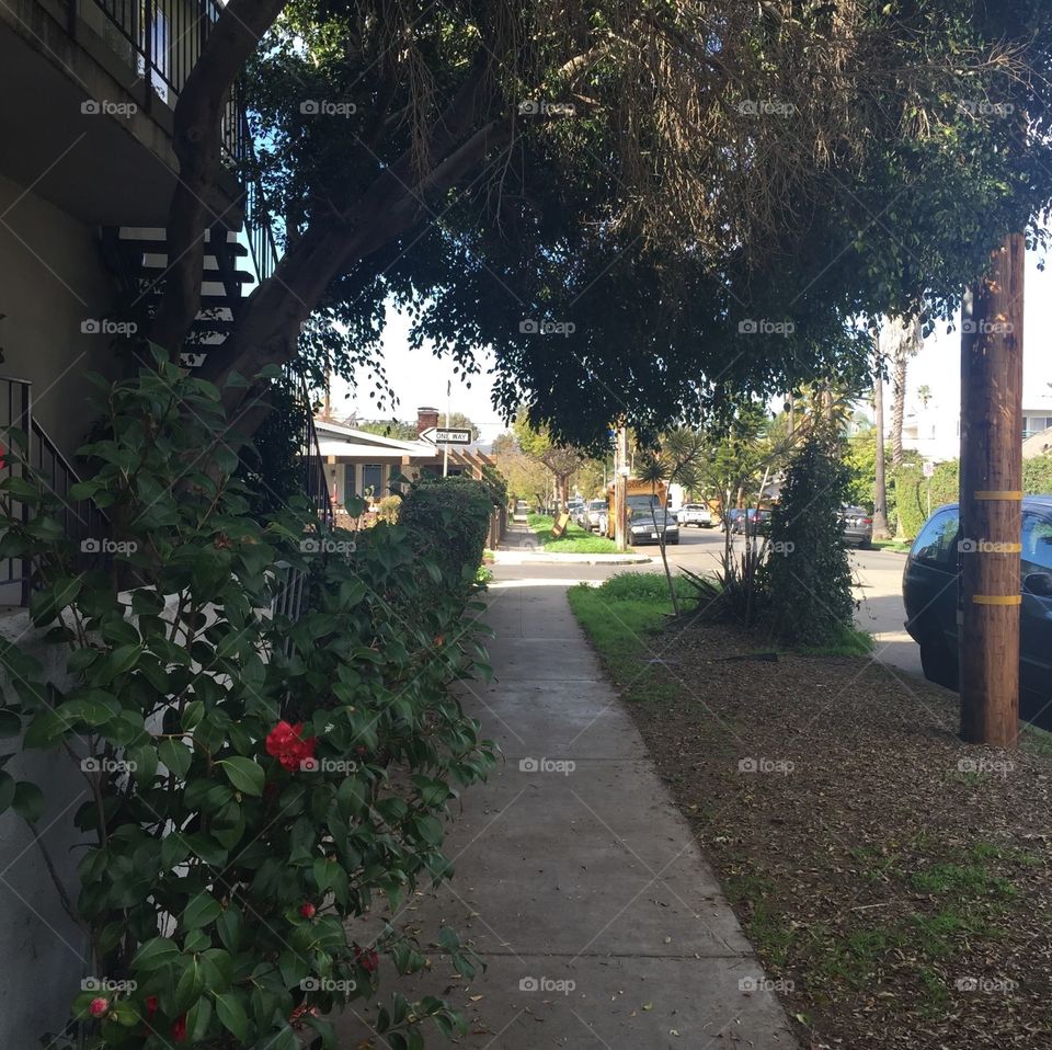 Sidewalk in Los Angeles, CA. Walking down the street in Los Angeles, CA