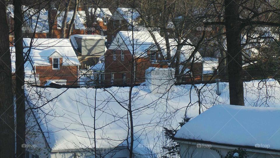 Snowy Rooftops