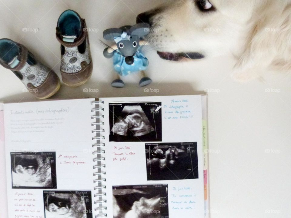 Our dog Sally can't wait to meet the newest member of the family and is taking care of the little wooden mouse. In the background, we can see the small baby shoes and à book with the baby's ultrasounds.