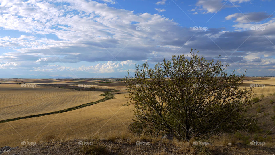sky field clouds la by alejandrorubiob