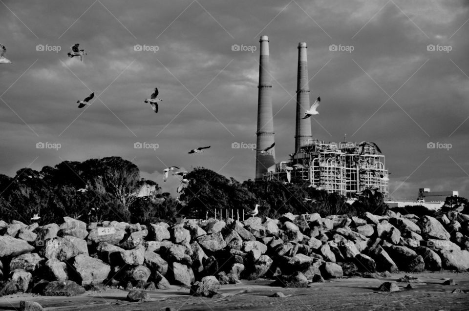 By the sea and the factory 