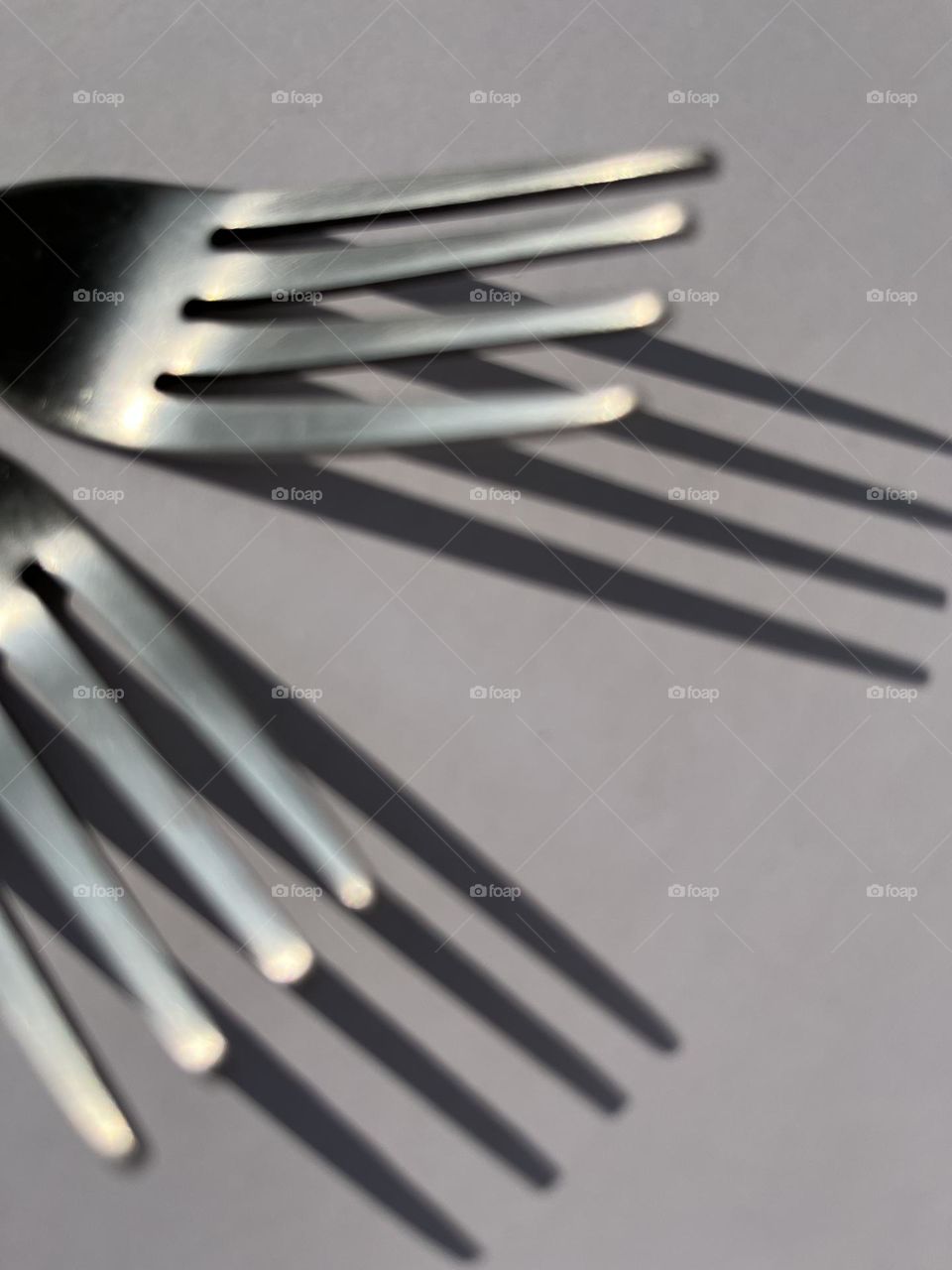 Not Ordinarily : Fork.