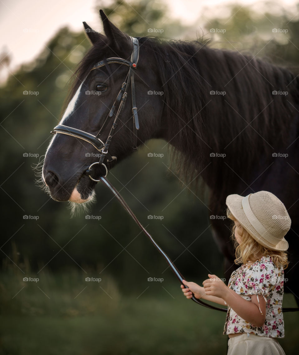 Little girl with shire horse at summer evening 