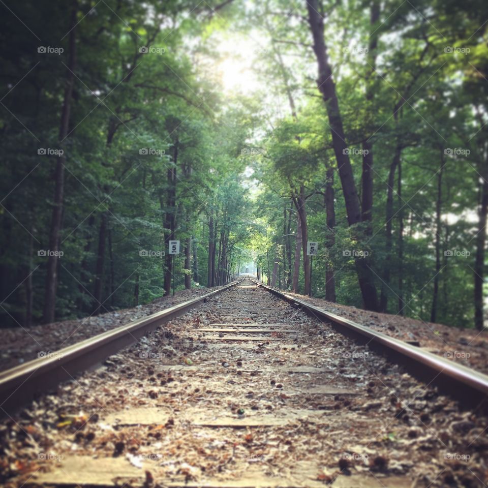 The Stone Mountain Park Railroad. 