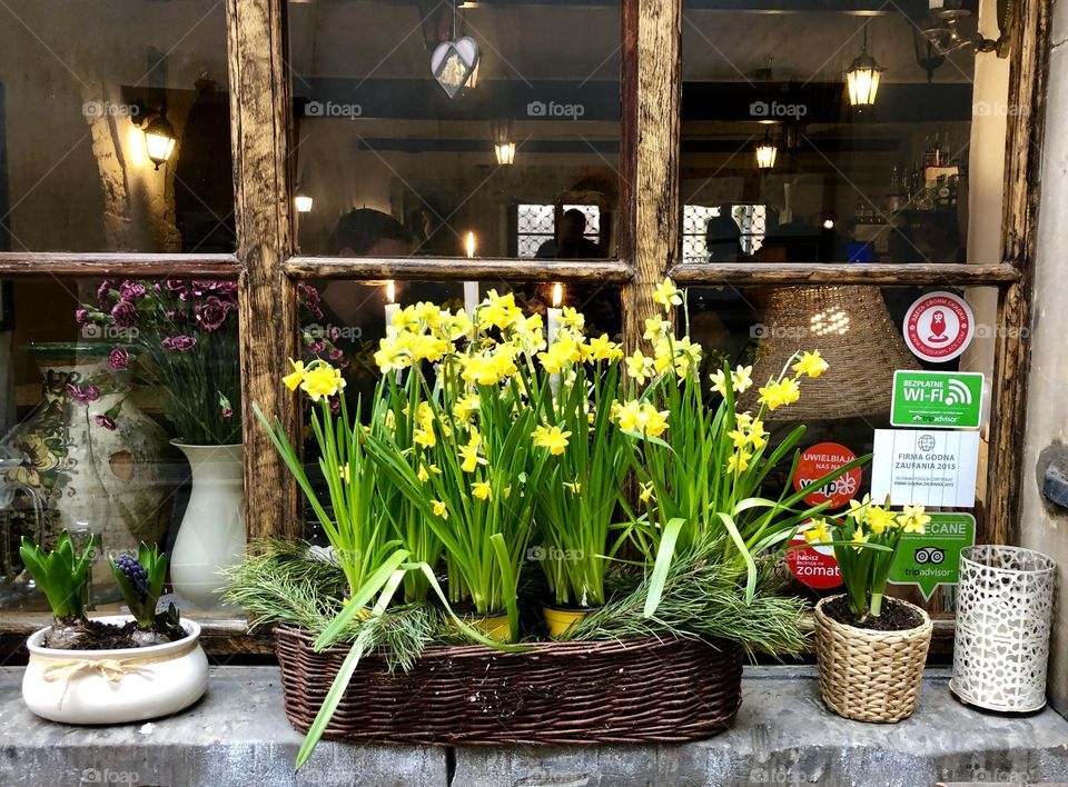 Spring flowers on the window sill