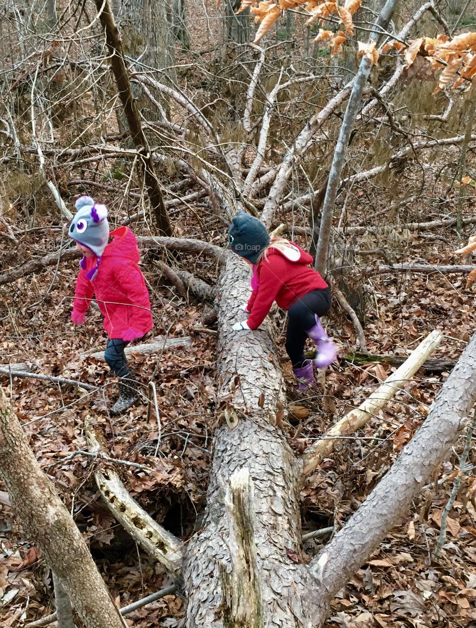 Mastering the trailblazing skills in the forest 