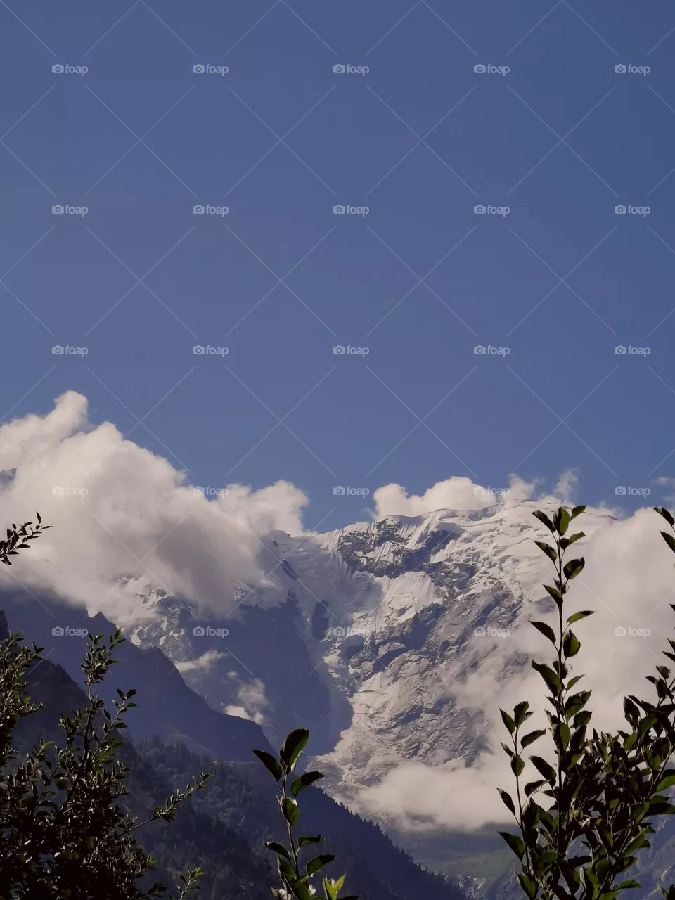 Himalayas view