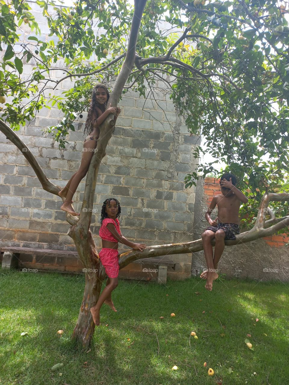 A graciosidade  e leveza das crianças