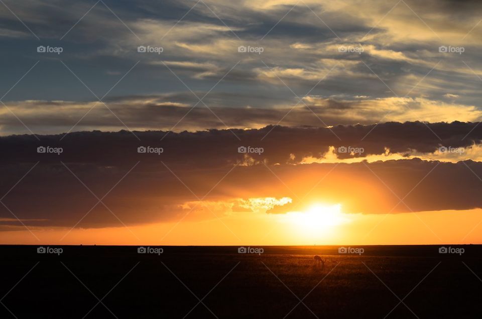 Sunset in Masai Mara