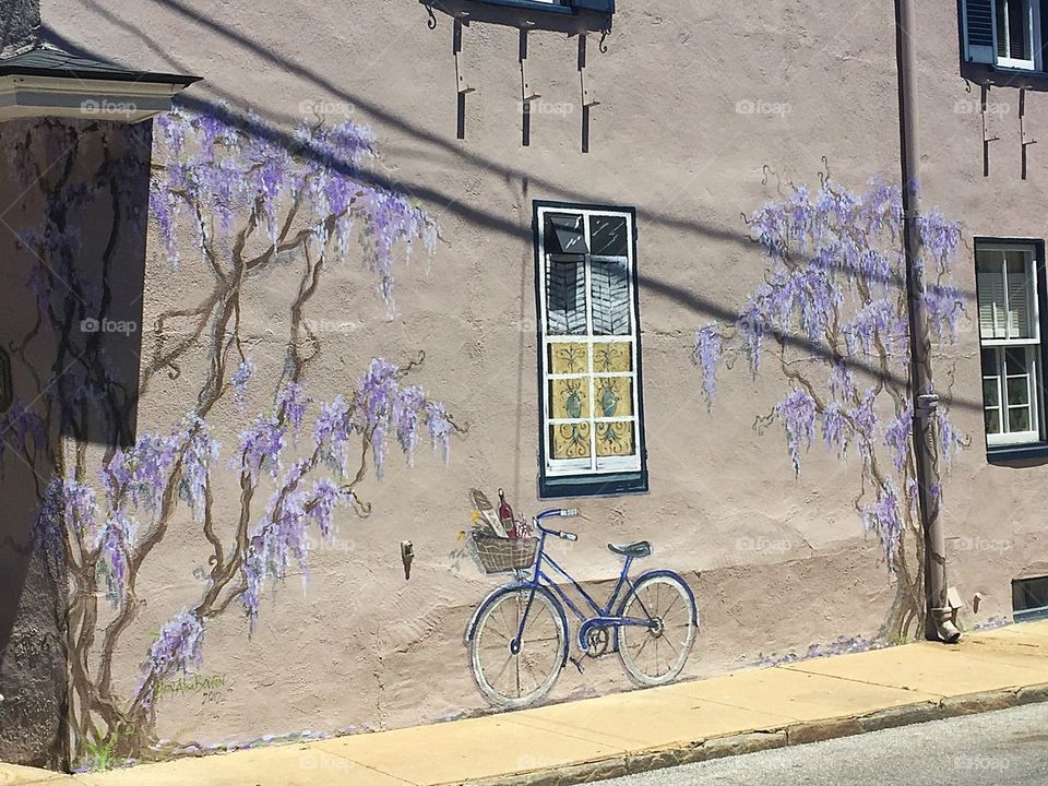A beautiful floral mural painted on the side of a building on the streets of Annapolis, Maryland. 