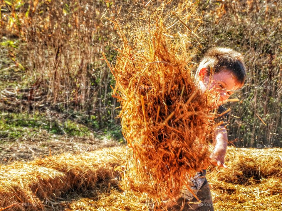 Playing In The Hay