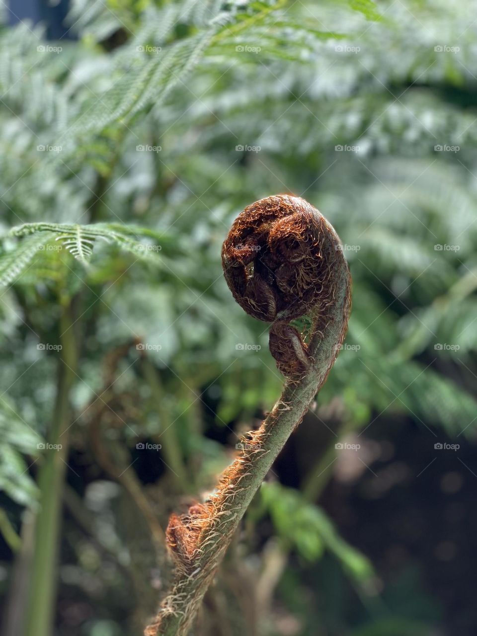 It’s beautiful without a 🌸 