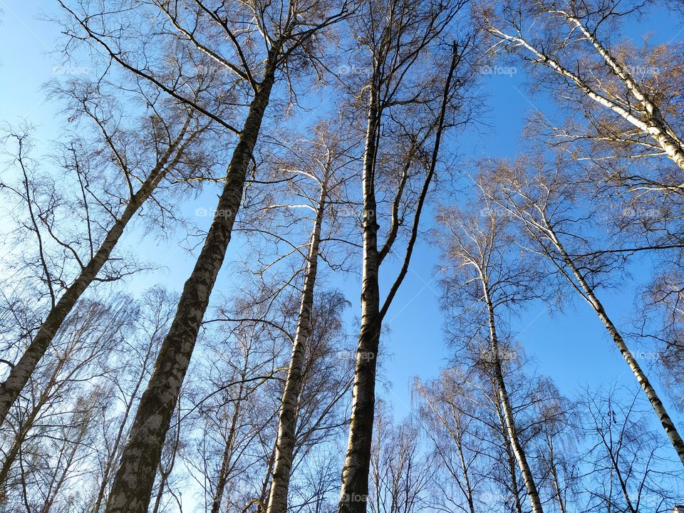 осенний парк