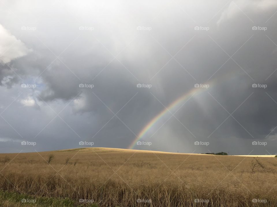 Regenbogen 🌈