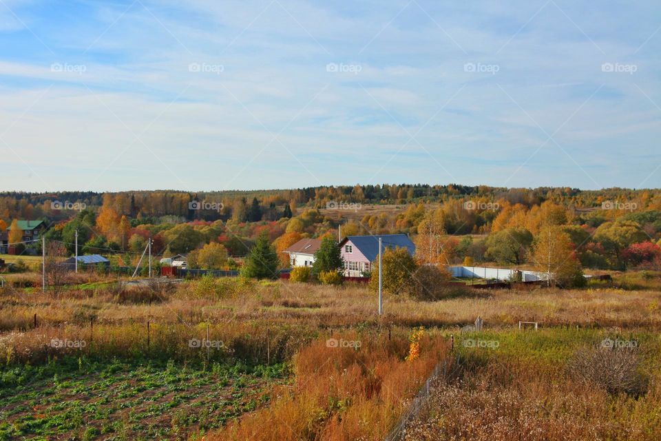 field and forest far beyond the village