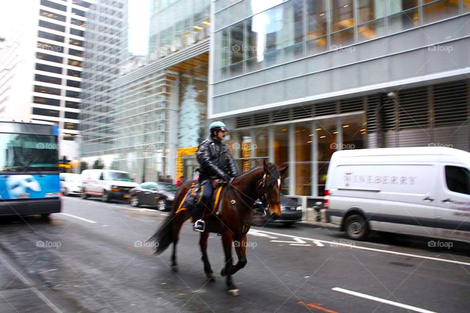 horse police on the street 